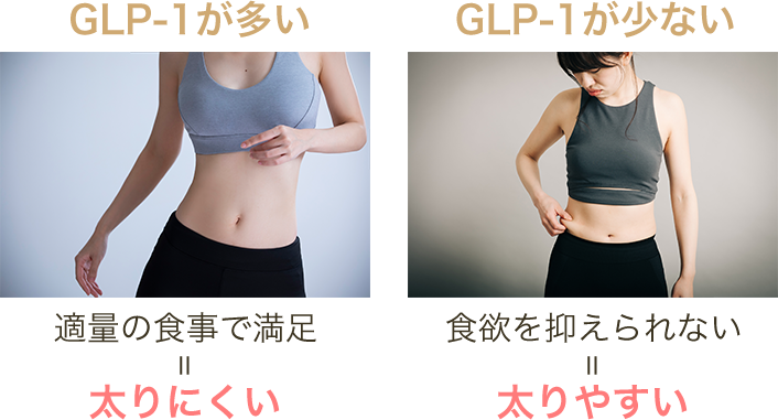 GLP-1が多いと適量の食事で満足するため太りにくい。GLP-1が少ないと食欲を抑えられないため太りやすい。