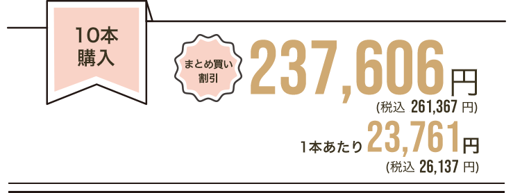 まとめ買い10本 1本あたり 21,719円(税込)